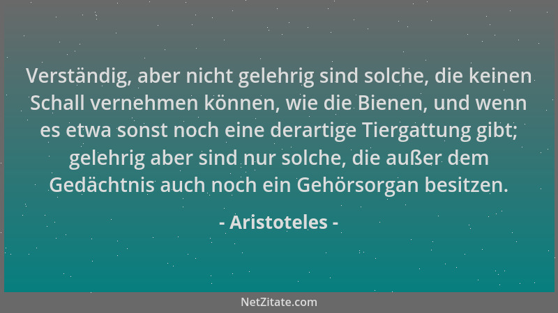 Aristoteles - Verständig, aber nicht gelehrig sind solche, die keinen Schall vernehmen können, wie die Bienen, und wenn es...