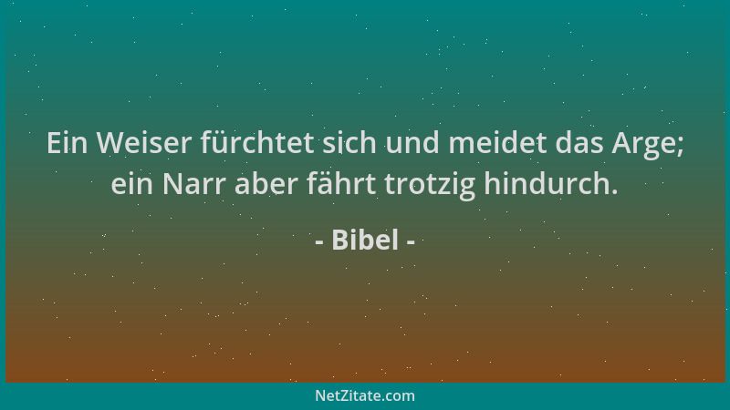 Bibel - Ein Weiser fürchtet sich und meidet das Arge; ein Narr aber fährt trotzig hindurch....
