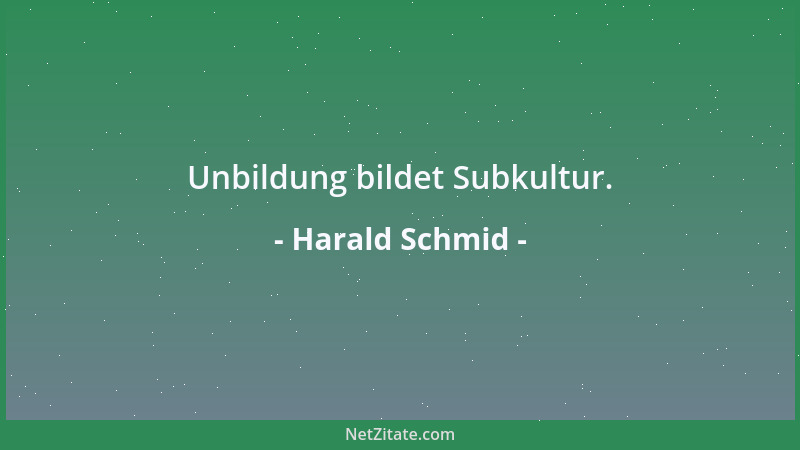 Harald Schmid - Unbildung bildet Subkultur....