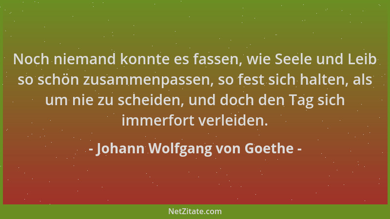 Johann Wolfgang von Goethe - Noch niemand konnte es fassen, wie Seele und Leib so schön zusammenpassen, so fest sich halten...