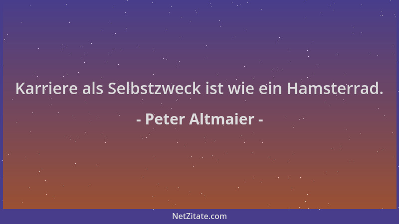 Peter Altmaier - Karriere als Selbstzweck ist wie ein Hamsterrad....