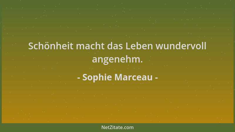 Sophie Marceau - Schönheit macht das Leben wundervoll angenehm....
