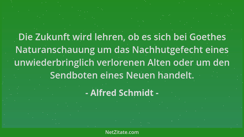 Alfred Schmidt - Die Zukunft wird lehren, ob es sich bei Goethes Naturanschauung um das Nachhutgefecht eines unwiederbringl...
