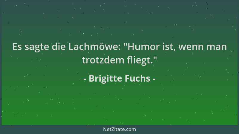 Brigitte Fuchs - Es sagte die Lachmöwe:  "Humor ist, wenn man trotzdem fliegt. "...