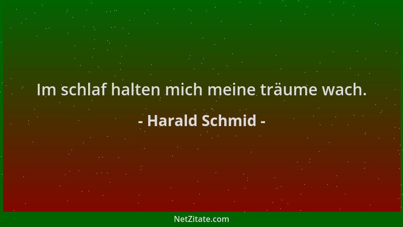Harald Schmid - Im schlaf halten mich meine träume wach....