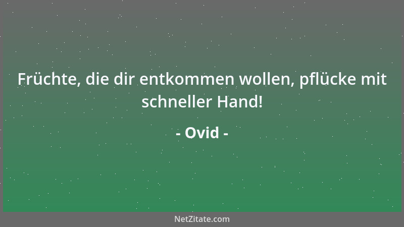 Ovid - Früchte, die dir entkommen wollen, pflücke mit schneller Hand!...