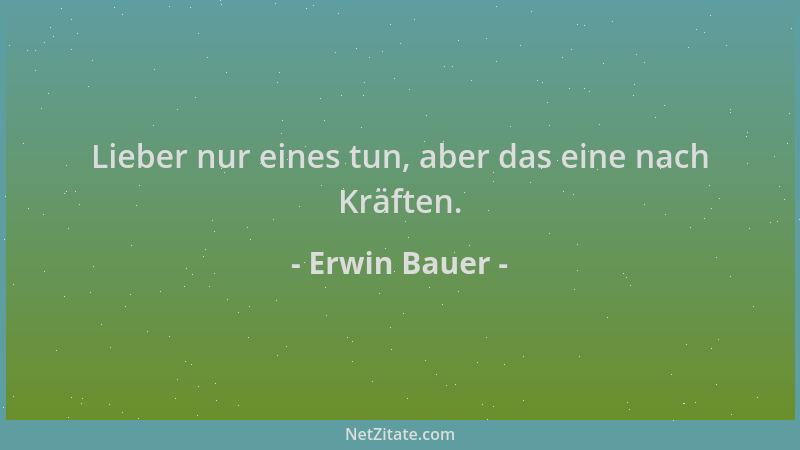 Erwin Bauer - Lieber nur eines tun, aber das eine nach Kräften....