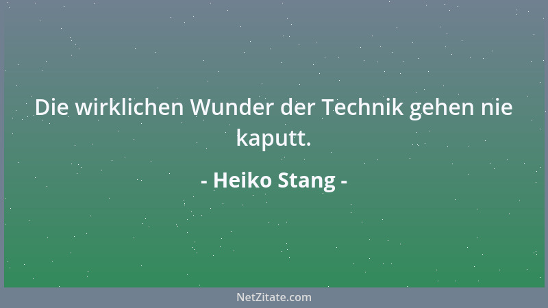 Heiko Stang - Die wirklichen Wunder der Technik gehen nie kaputt....