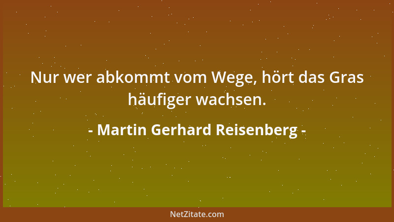 Martin Gerhard Reisenberg - Nur wer abkommt vom Wege, hört das Gras häufiger wachsen....