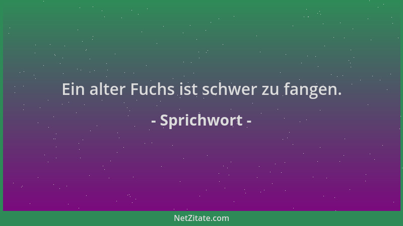 Sprichwort - Ein alter Fuchs ist schwer zu fangen....