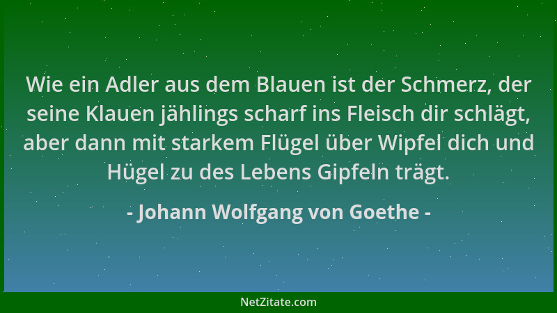Johann Wolfgang von Goethe - Wie ein Adler aus dem Blauen ist der Schmerz, der seine Klauen jählings scharf ins Fleisch dir...