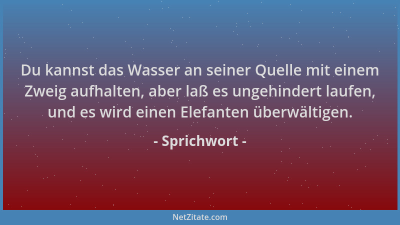 Sprichwort - Du kannst das Wasser an seiner Quelle mit einem Zweig aufhalten, aber laß es ungehindert laufen, und es wird e...