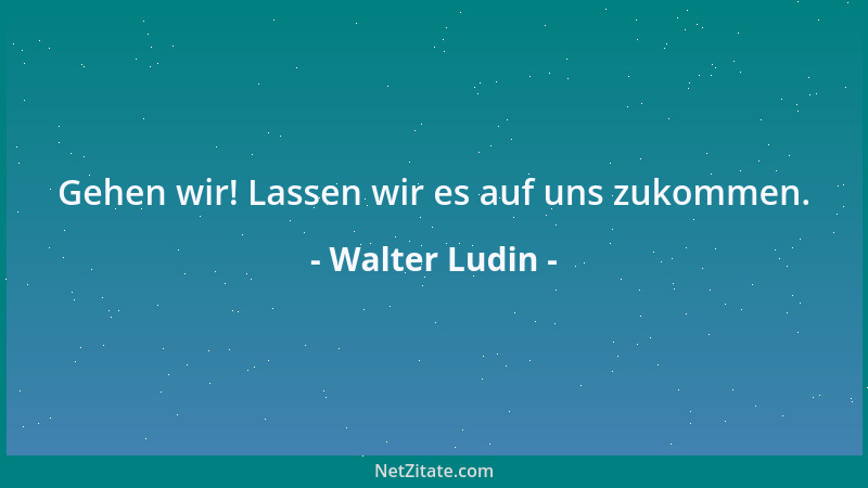 Walter Ludin - Gehen wir! Lassen wir es auf uns zukommen....