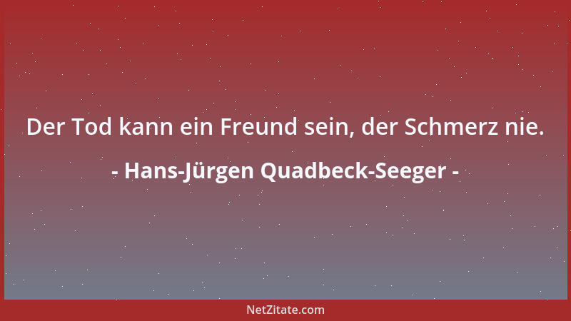 Hans-Jürgen Quadbeck-Seeger - Der Tod kann ein Freund sein, der Schmerz nie....
