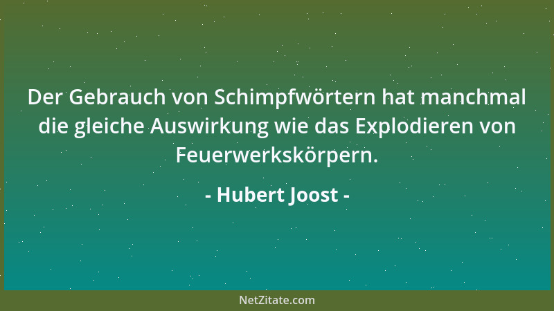 Hubert Joost - Der Gebrauch von Schimpfwörtern hat manchmal die gleiche Auswirkung wie das Explodieren von Feuerwerkskörper...