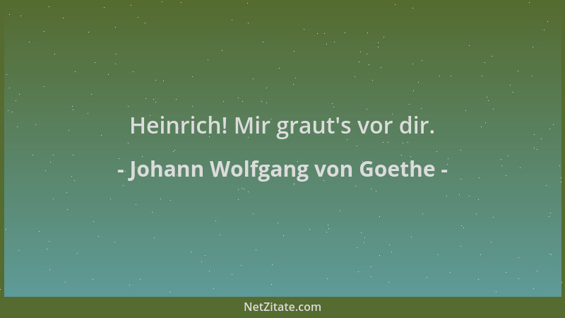 Johann Wolfgang von Goethe - Heinrich! Mir graut 's vor dir....