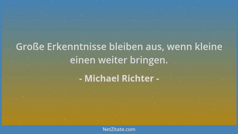 Michael Richter - Große Erkenntnisse bleiben aus, wenn kleine einen weiter bringen....