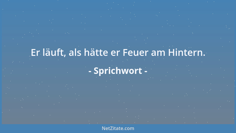 Sprichwort - Du bewunderst mich - ich liebe dich....