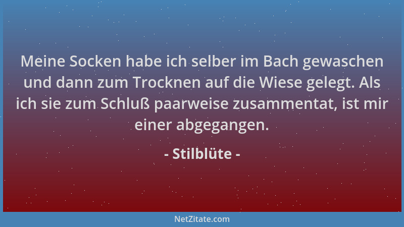 Stilblüte - Meine Socken habe ich selber im Bach gewaschen und dann zum Trocknen auf die Wiese gelegt. Als ich sie zum Schl...