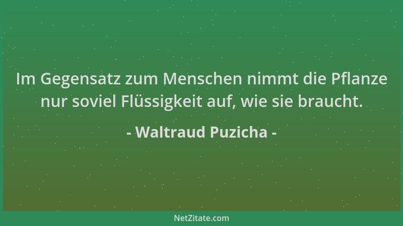 Waltraud Puzicha - Im Gegensatz zum Menschen nimmt die Pflanze nur soviel Flüssigkeit auf, wie sie braucht....
