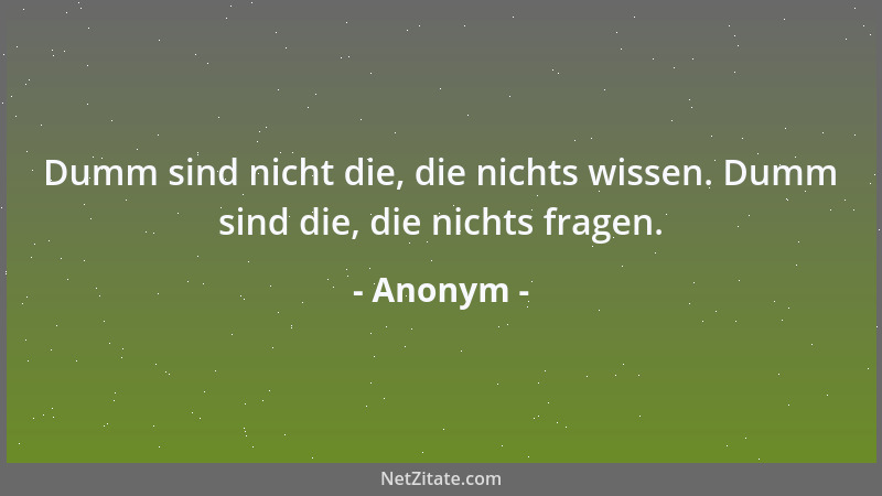 Anonym - Dumm sind nicht die, die nichts wissen. Dumm sind die, die nichts fragen....