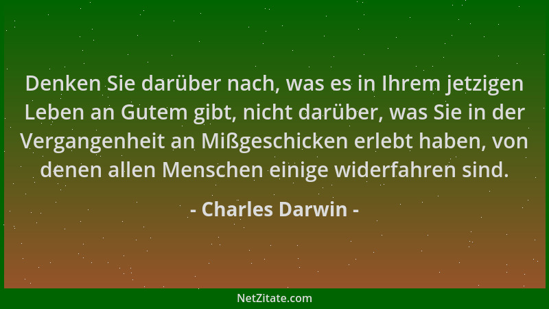 Charles Darwin - Denken Sie darüber nach, was es in Ihrem jetzigen Leben an Gutem gibt, nicht darüber, was Sie in der Verga...