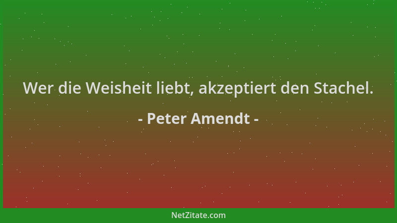 Peter Amendt - Wer die Weisheit liebt, akzeptiert den Stachel....