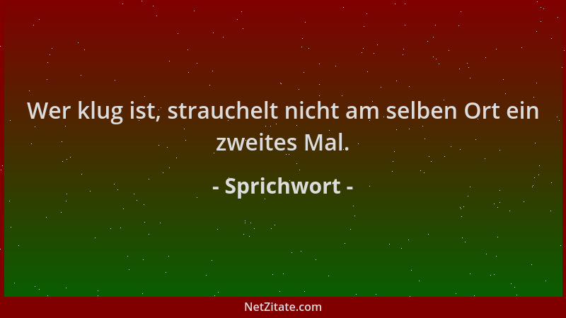 Sprichwort - Wer klug ist, strauchelt nicht am selben Ort ein zweites Mal....