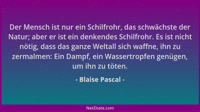 Blaise Pascal - Der Mensch ist nur ein Schilfrohr, das schwächste der Natur; aber er ist ein denkendes Schilfrohr. Es ist n...