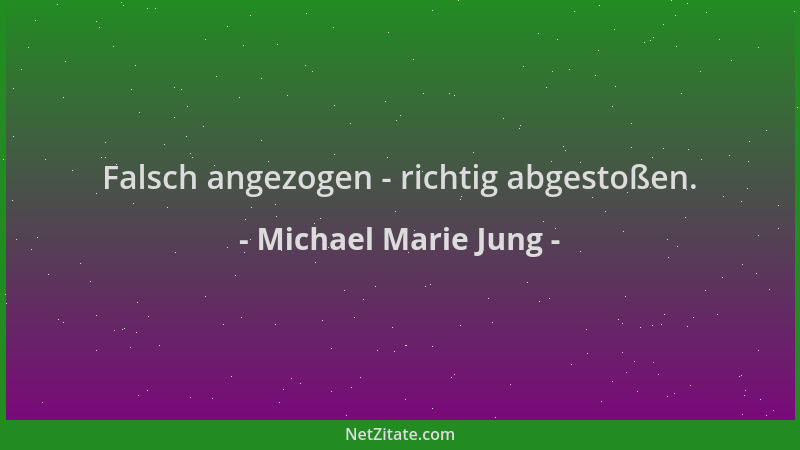 Michael Marie Jung - Falsch angezogen - richtig abgestoßen....
