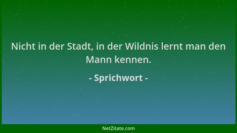 Sprichwort - Nicht in der Stadt, in der Wildnis lernt man den Mann kennen....