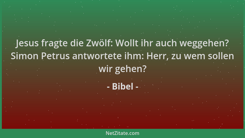 Bibel - Jesus fragte die Zwölf: Wollt ihr auch weggehen? Simon Petrus antwortete ihm: Herr, zu wem sollen wir gehen?...