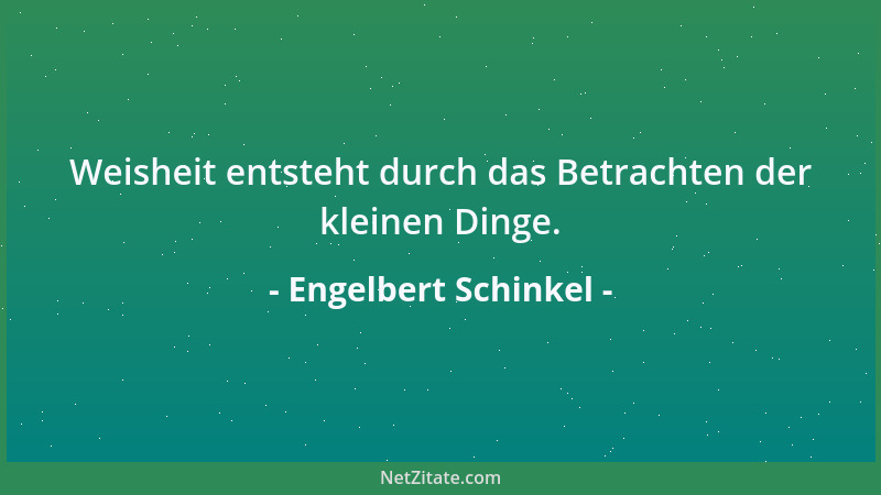 Engelbert Schinkel - Weisheit entsteht durch das Betrachten der kleinen Dinge....