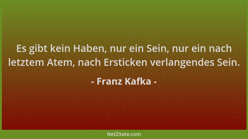 Franz Kafka - Es gibt kein Haben, nur ein Sein, nur ein nach letztem Atem, nach Ersticken verlangendes Sein....
