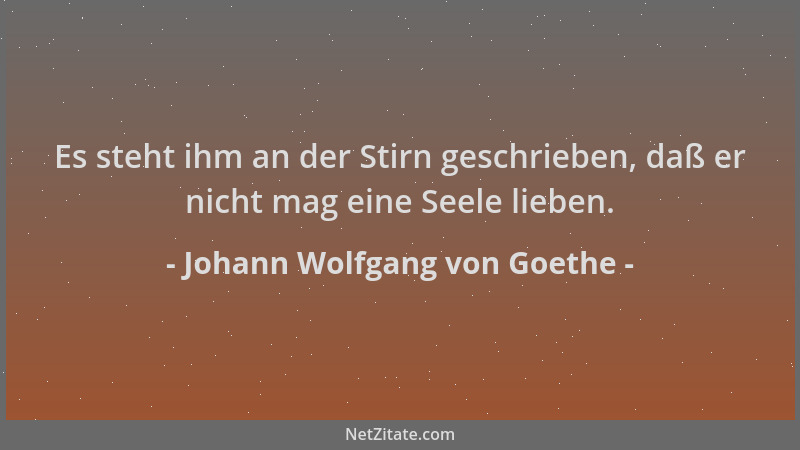 Johann Wolfgang von Goethe - Es steht ihm an der Stirn geschrieben, daß er nicht mag eine Seele lieben....