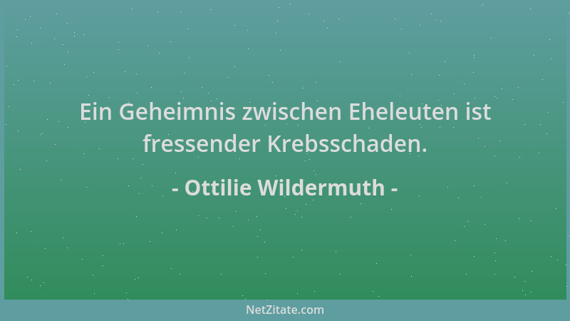 Ottilie Wildermuth - Ein Geheimnis zwischen Eheleuten ist fressender Krebsschaden....