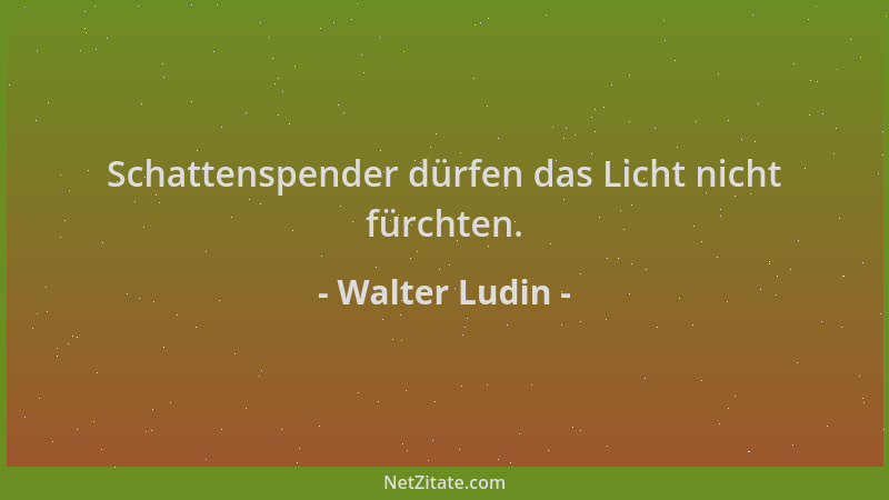 Walter Ludin - Schattenspender dürfen das Licht nicht fürchten....