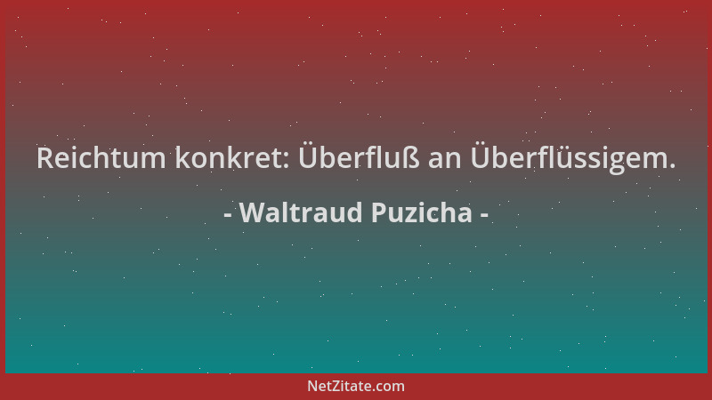 Waltraud Puzicha - Reichtum konkret: Überfluß an Überflüssigem....