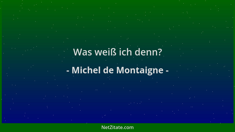 Michel de Montaigne - Was weiß ich denn?...