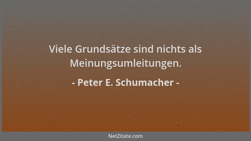 Peter E. Schumacher - Viele Grundsätze sind nichts als Meinungsumleitungen....