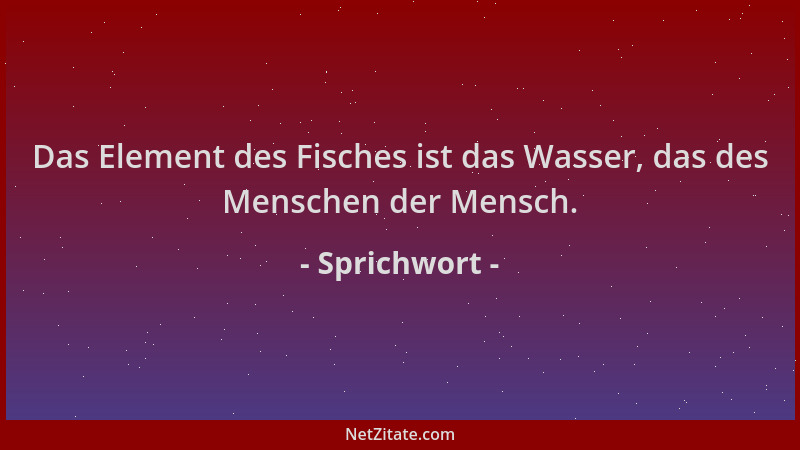 Sprichwort - Das Element des Fisches ist das Wasser, das des Menschen der Mensch....