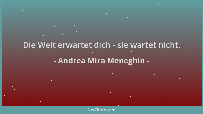 Andrea Mira Meneghin - Die Welt erwartet dich - sie wartet nicht....