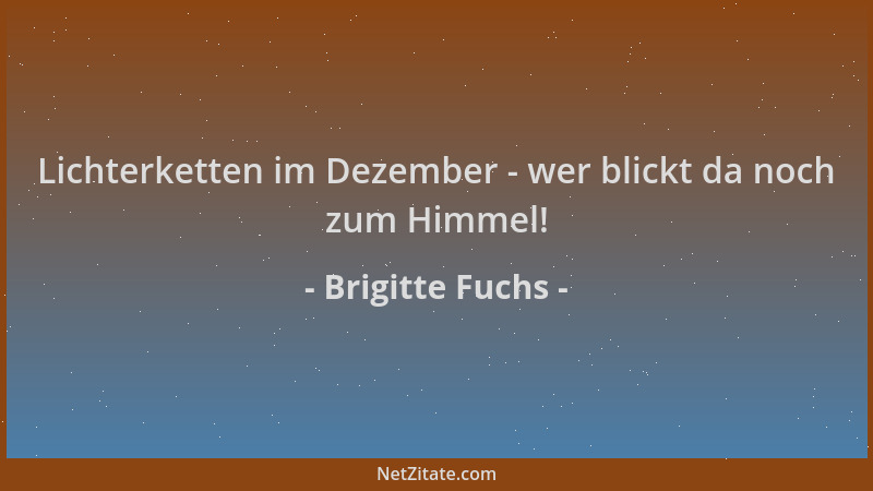 Brigitte Fuchs - Lichterketten im Dezember - wer blickt da noch zum Himmel!...