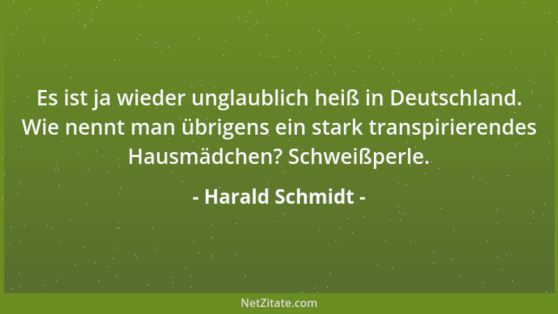 Harald Schmidt - Es ist ja wieder unglaublich heiß in Deutschland. Wie nennt man übrigens ein stark transpirierendes Hausmä...