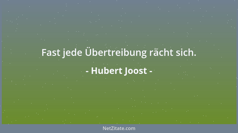 Hubert Joost - Fast jede Übertreibung rächt sich....