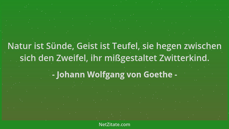 Johann Wolfgang von Goethe - Natur ist Sünde, Geist ist Teufel, sie hegen zwischen sich den Zweifel, ihr mißgestaltet Zwitt...