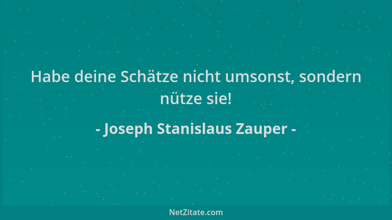 Joseph Stanislaus Zauper - Habe deine Schätze nicht umsonst, sondern nütze sie!...
