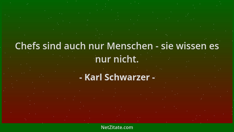 Karl Schwarzer - Chefs sind auch nur Menschen - sie wissen es nur nicht....