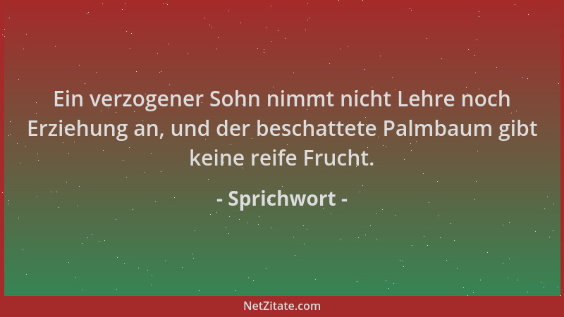 Sprichwort - Ein verzogener Sohn nimmt nicht Lehre noch Erziehung an, und der beschattete Palmbaum gibt keine reife Frucht....
