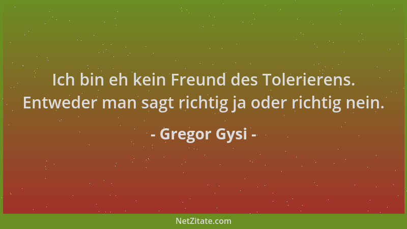 Gregor Gysi - Ich bin eh kein Freund des Tolerierens. Entweder man sagt richtig ja oder richtig nein....